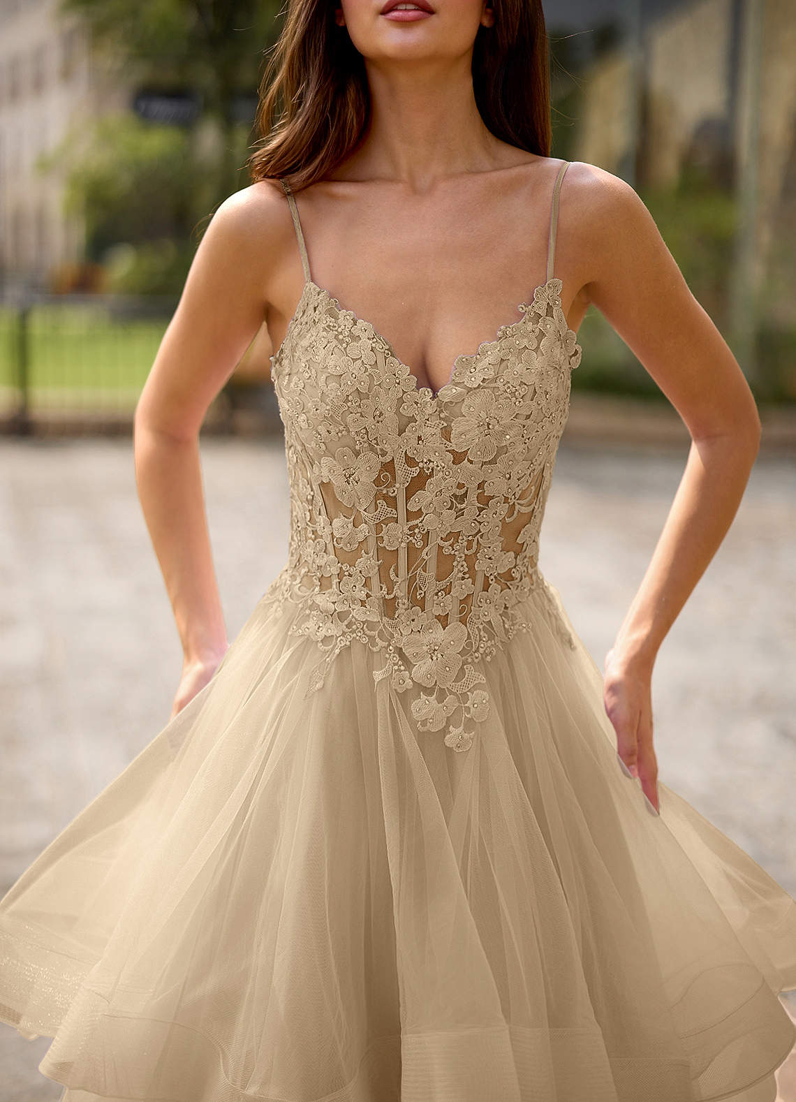 Spitze Ball Gown Sweetheart Lace Tulle Evening Dress in champagne