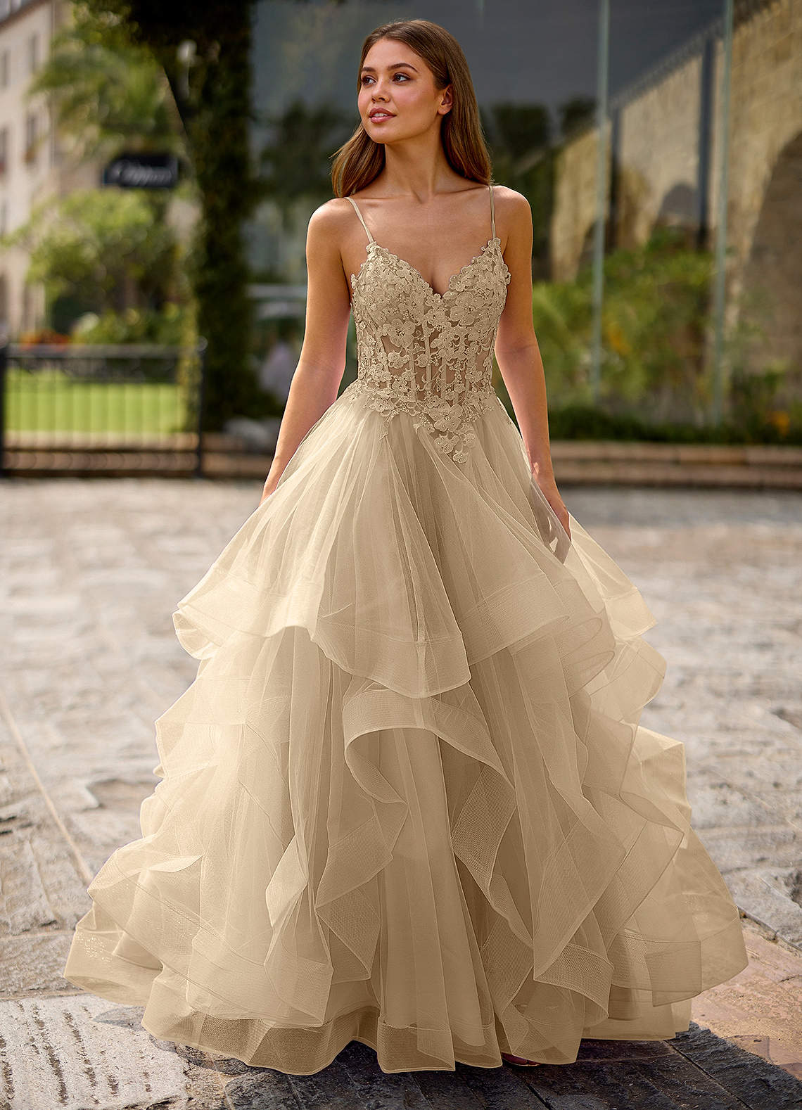Spitze Ball Gown Sweetheart Lace Tulle Evening Dress in champagne