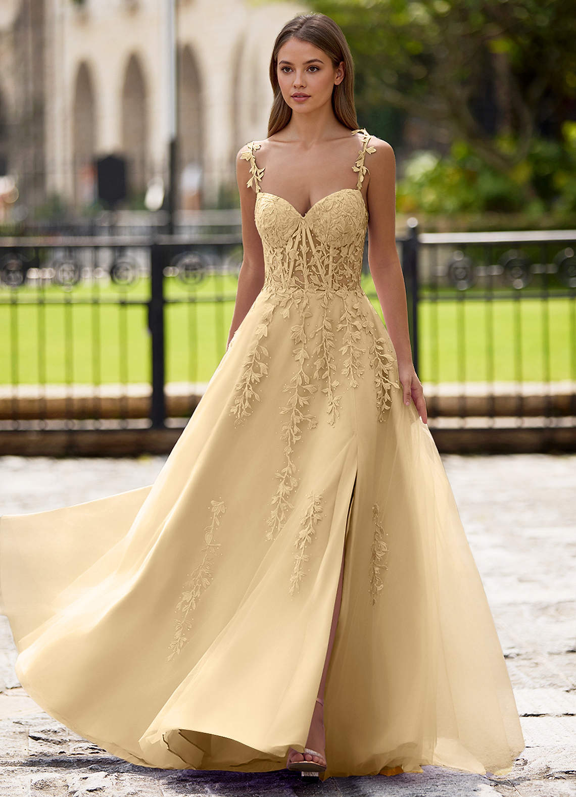Dreamscape A-Line Sweetheart Lace Tulle Prom Dress in champagne