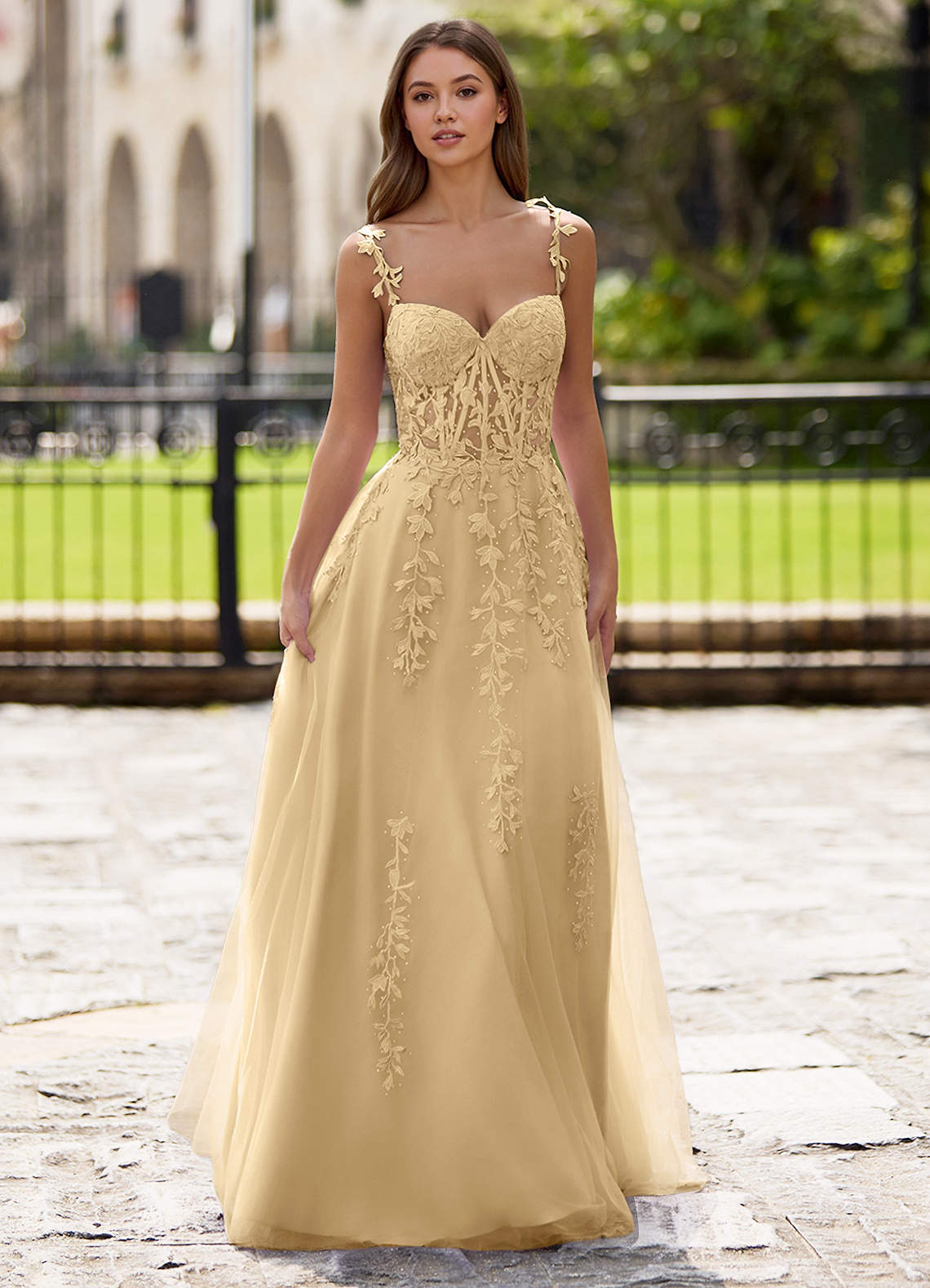 Dreamscape A-Line Sweetheart Lace Tulle Prom Dress in champagne
