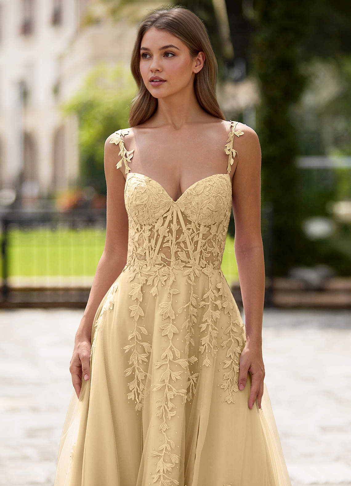 Dreamscape A-Line Sweetheart Lace Tulle Prom Dress in champagne