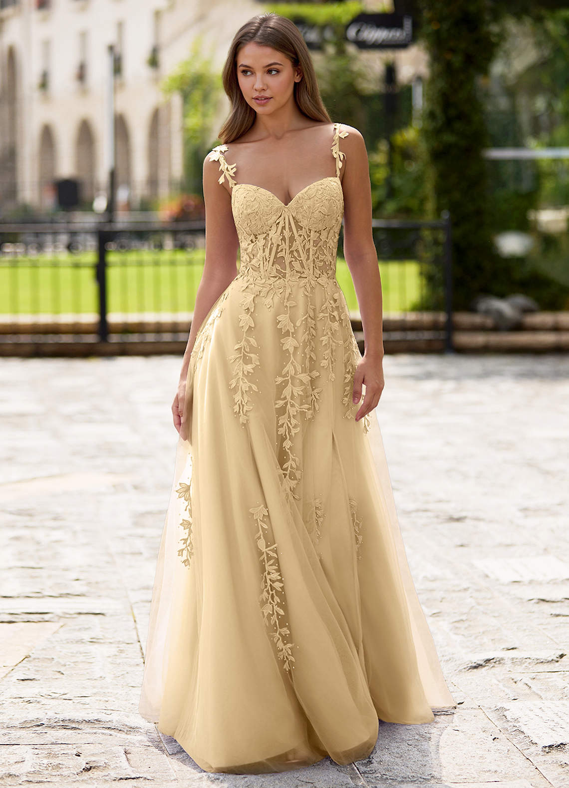 Dreamscape A-Line Sweetheart Lace Tulle Prom Dress in champagne