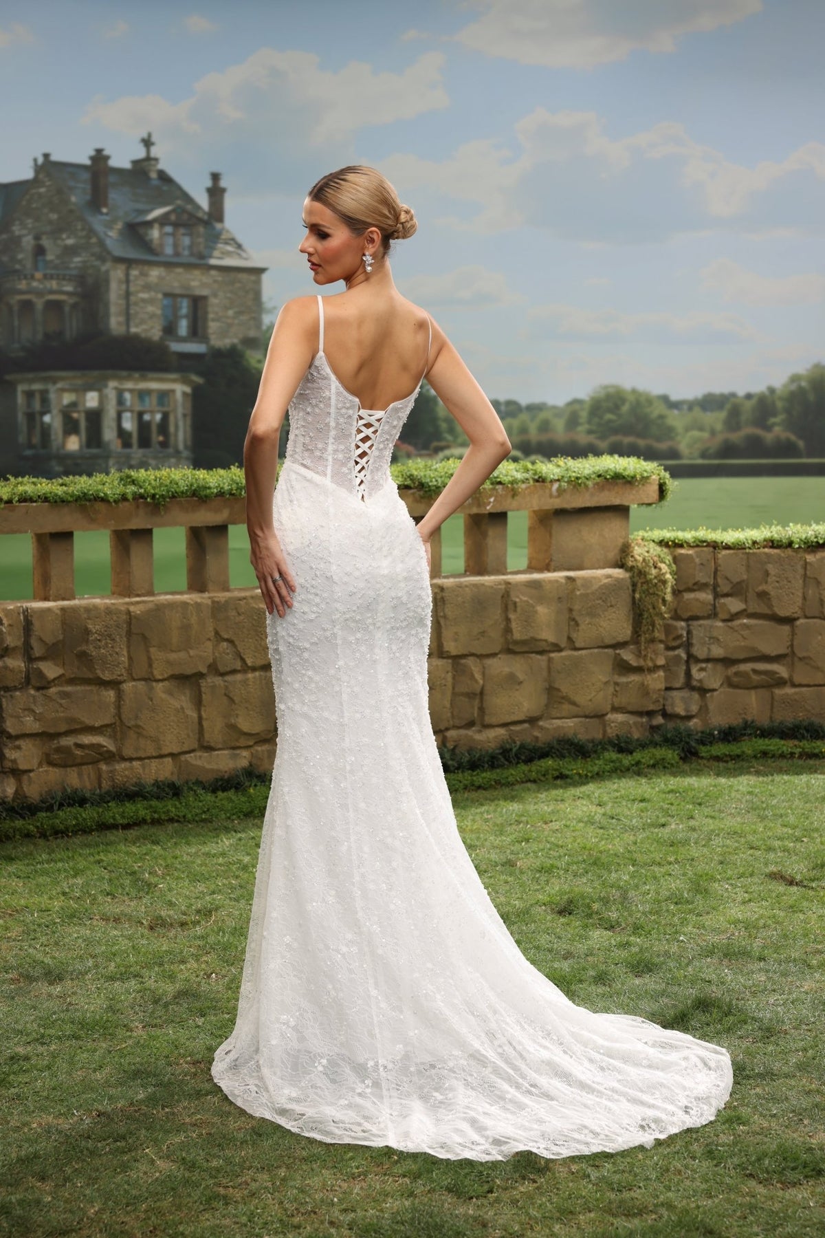 Zorienne Mermaid Plunging V-Neck wedding dress — back view