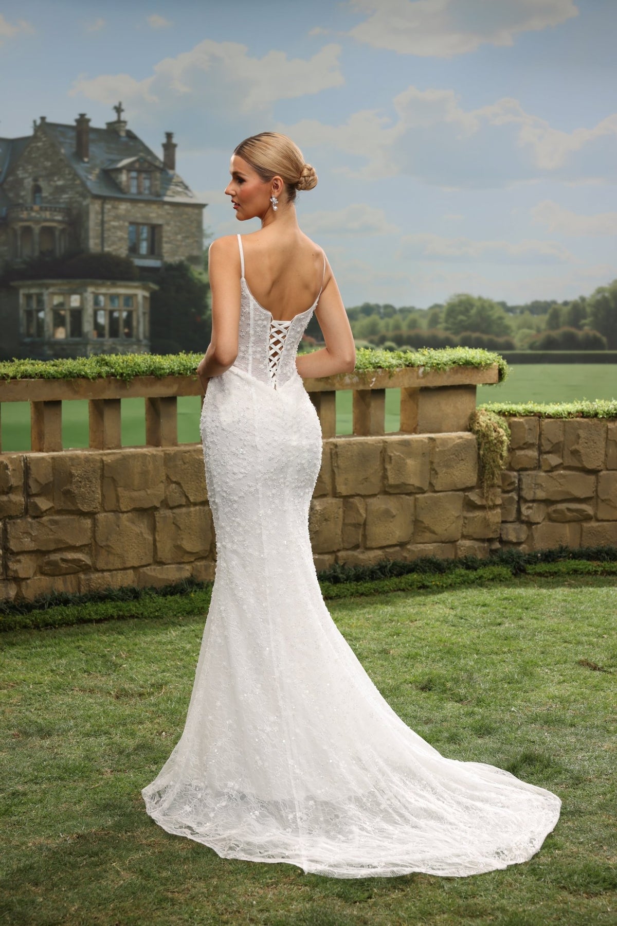 Zorienne Mermaid Plunging V-Neck wedding dress — back view
